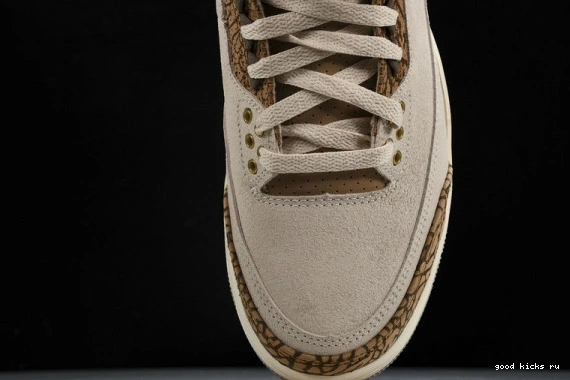 Retro Jordan  CT8532-102 CT8532-102 Palomino  3 0401